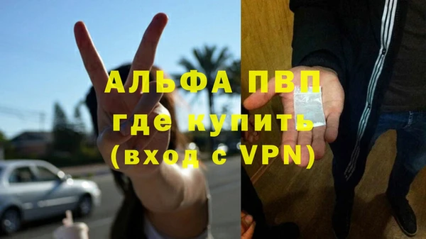 соль ск Белокуриха