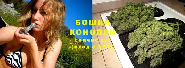 соль ск Белокуриха