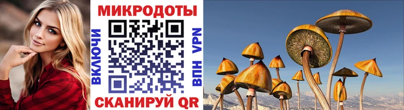 shop наркотические препараты  Салаир  Галлюциногенные грибы ЛСД 