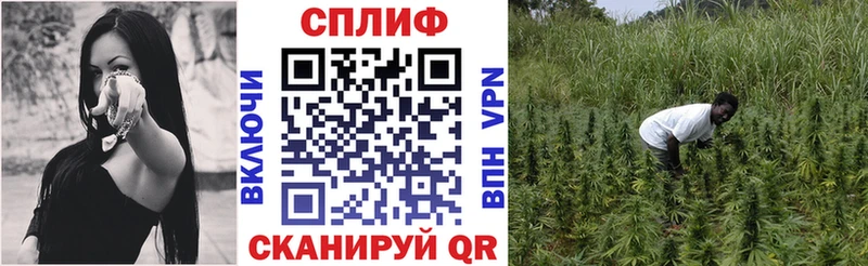 дарк нет как зайти  Салаир  Бошки Шишки индика 